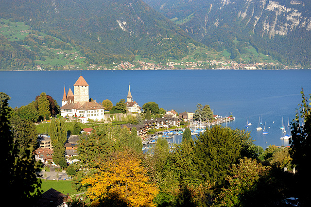 Le lac de Thoune (Oberland bernois)