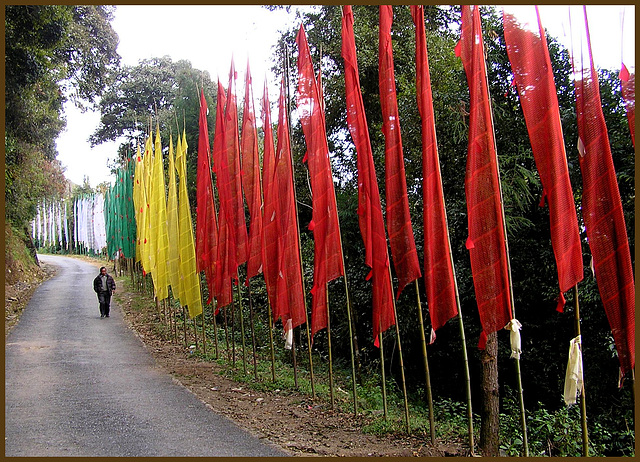 Prayer flags. Sikkim.