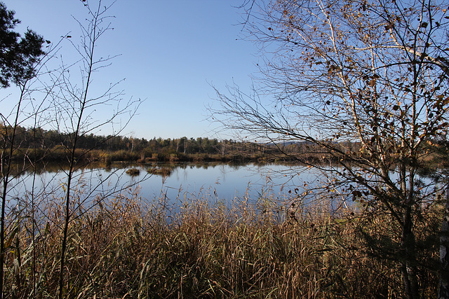 Weiher im Bad Wurzacher Ried