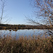 Weiher im Bad Wurzacher Ried