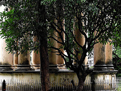 Colonnade
