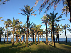 Torremolinos (Málaga).