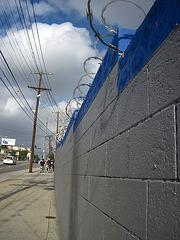 Great L.A. Walk (0980)