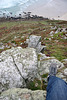 Tief - Cornwall 110907