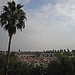 Santa Monica Rooftops (0858)