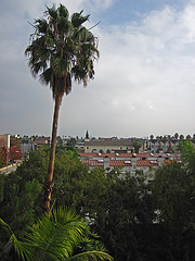 Santa Monica Rooftops (0859)