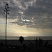 Santa Monica View Of The Pacific (0865)