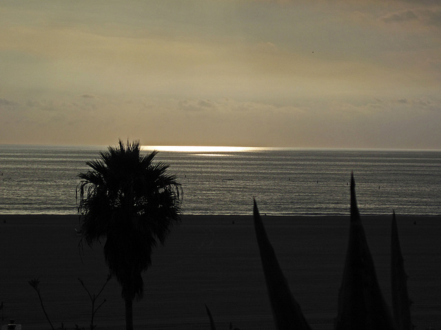 Santa Monica View Of The Pacific (0866)