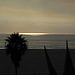 Santa Monica View Of The Pacific (0866)