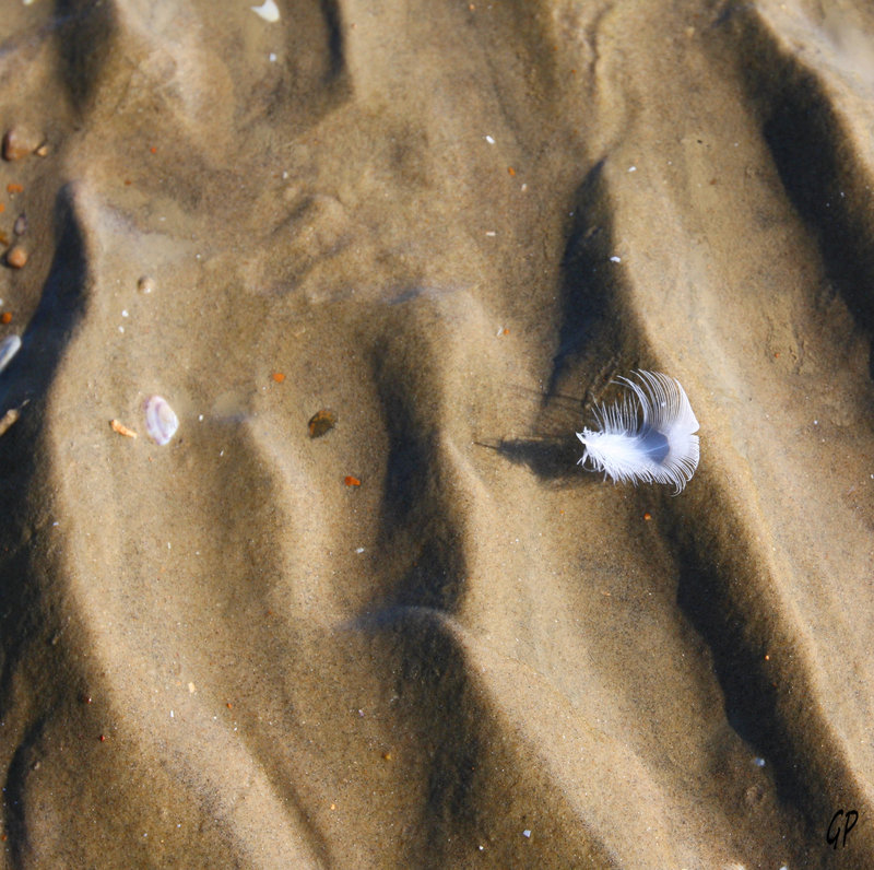 Sable et plume