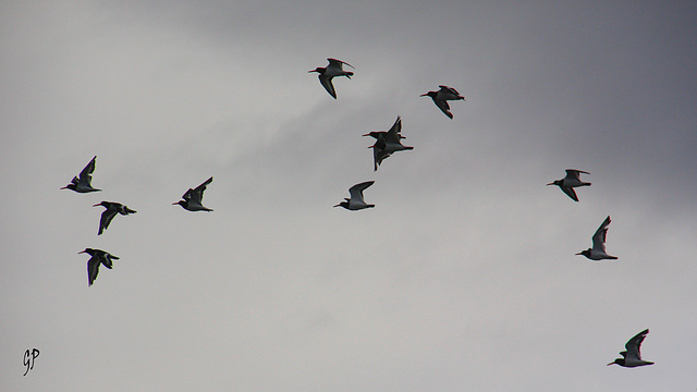 In full flight