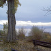 Herbst am Bodensee