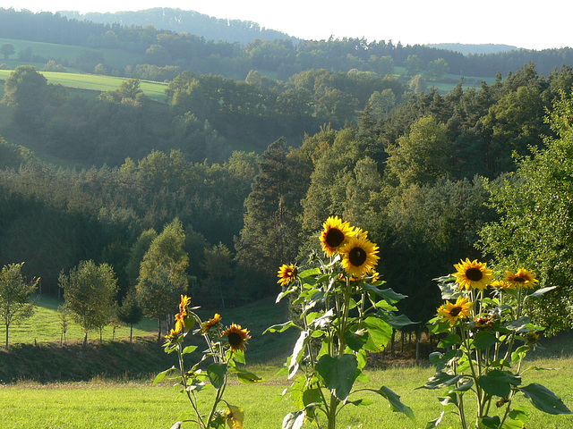 Herbst im Regental