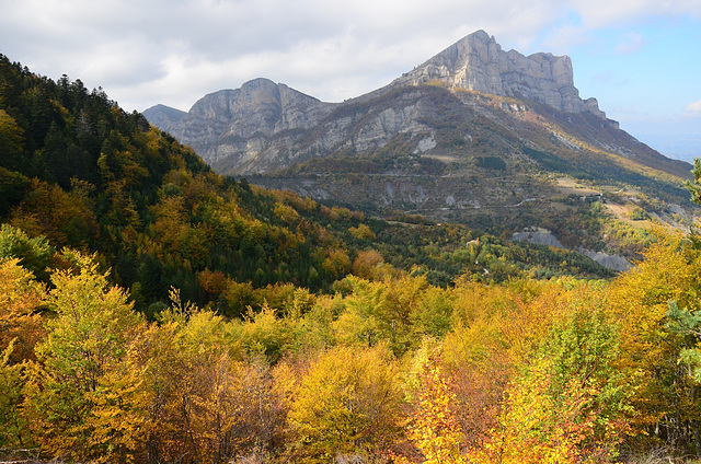 Automne aux trois becs