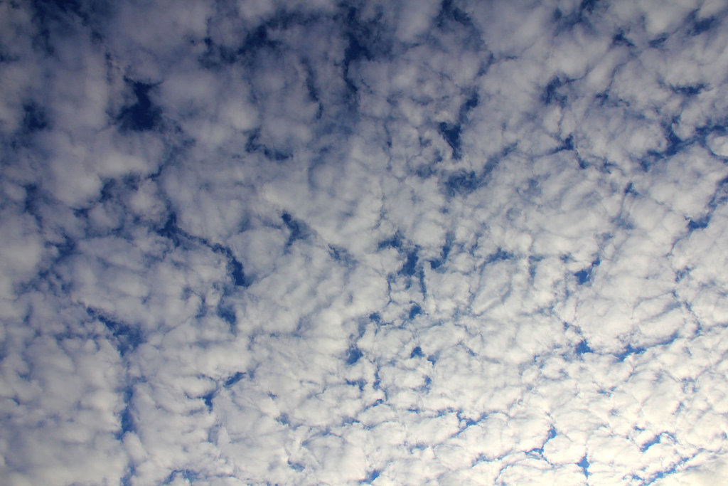 Der Himmel ist voller Schäfchenwolken.