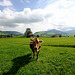 Rencontre à Appenzell ...