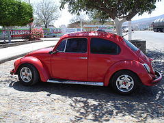 Cox ombragée au repos / Shady VW resting - 23 mars 2011