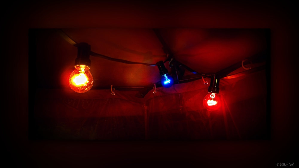 party lights