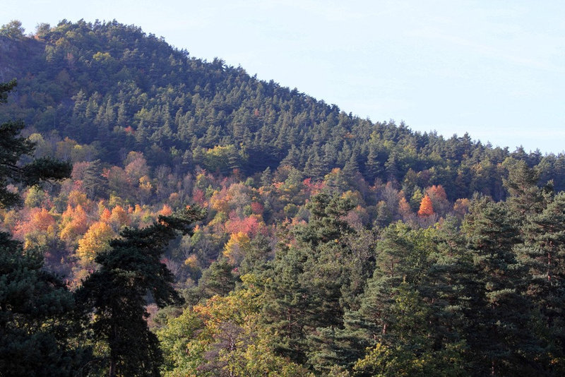 Automne dans le Velay