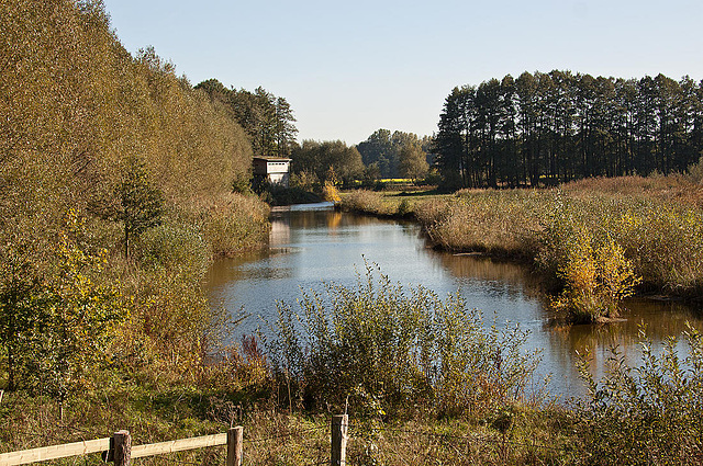 20111015 6651RAw [D-PB] Steinhorster Becken