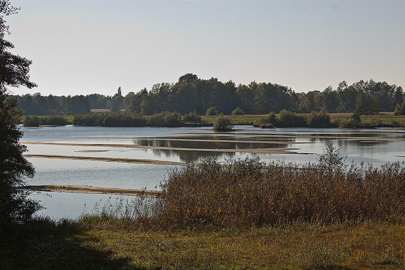 20111015 6648RAw [D-PB] Steinhorster Becken