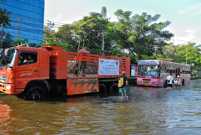 Transport service from different intuitions