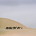 Camels III. (caravan)