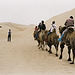 Camels II. (photographer)