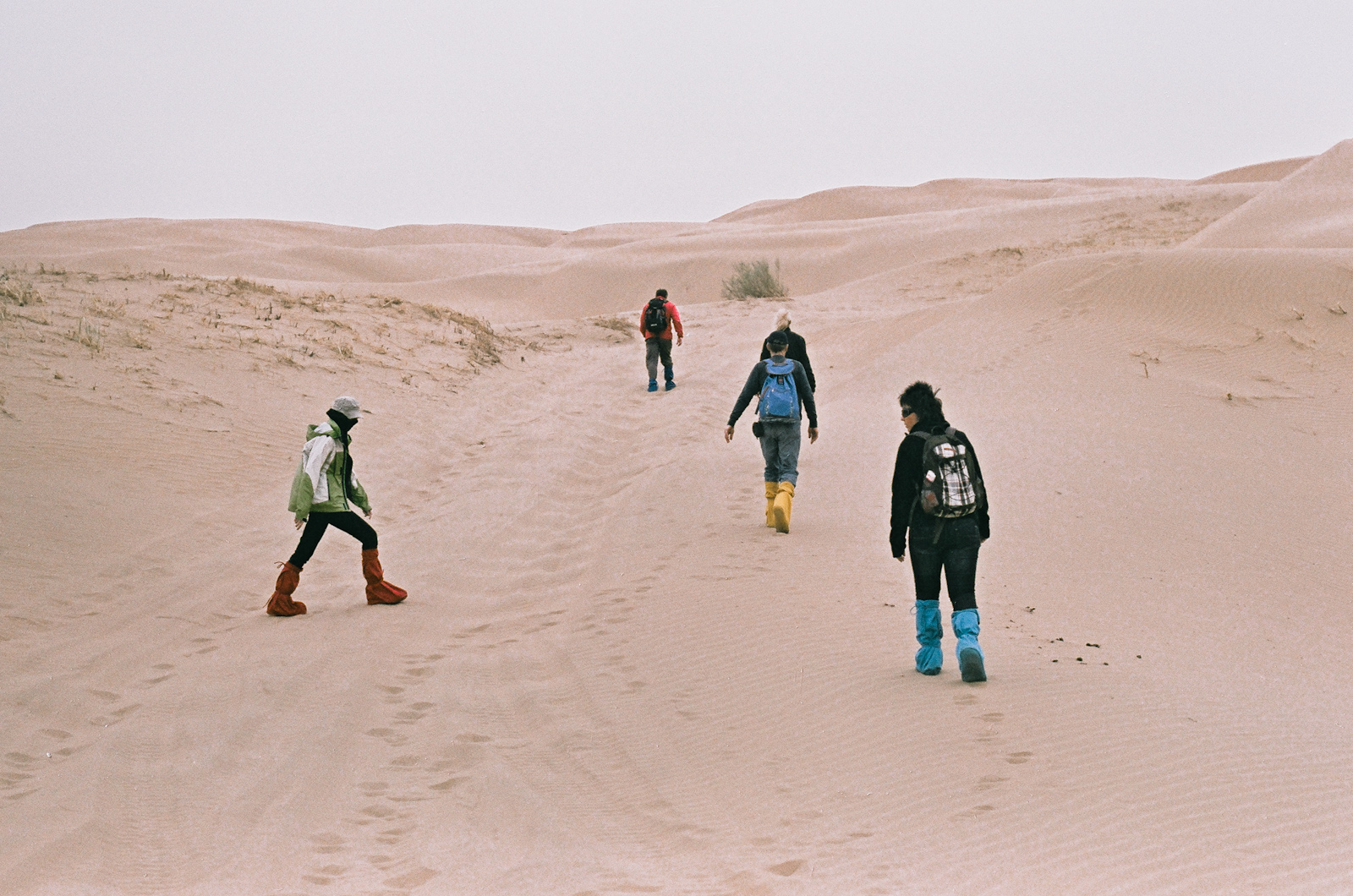 Desert trip II.