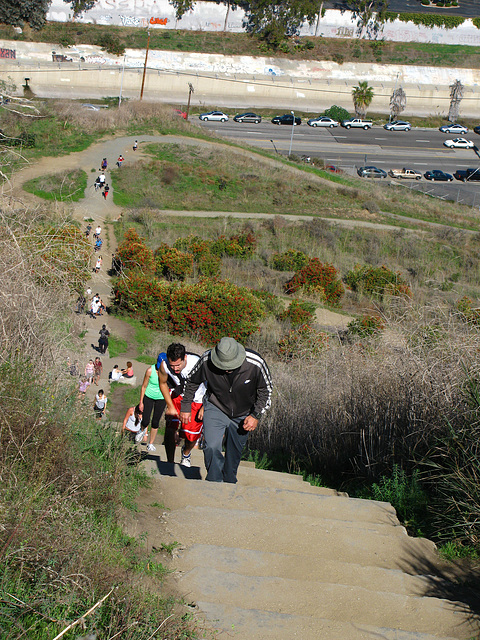 Climbing Baldwin Hill (2556)