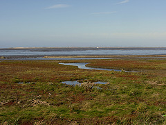 IMG 2855 Neuharlingersiel