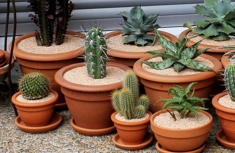 Collection de xéro