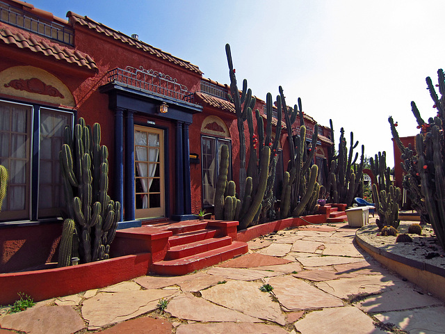 Cactus Garden On Kensington Road (0431)