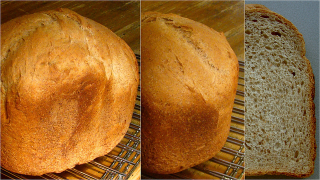 Maple, Wheat and Oat Bread