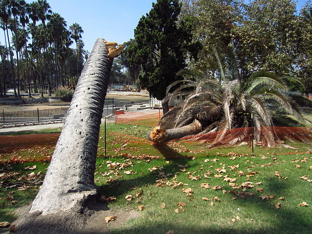 Echo Lake Being Drained (0406)