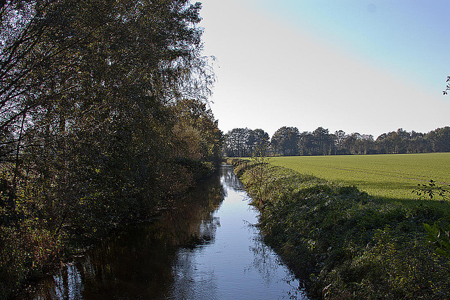 20111015 6614RAw [D-PB] Ems, Steinhorster Becken