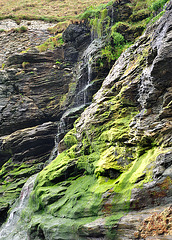 Tintagel 110908