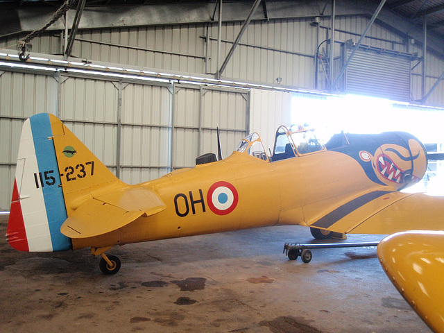 north américan T-6 TEXAN P8212775