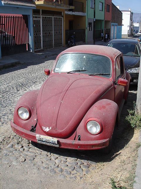 Tequila, Jalisco - Mexico / 22 mars 2011