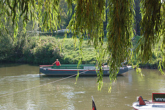 DSC 1716