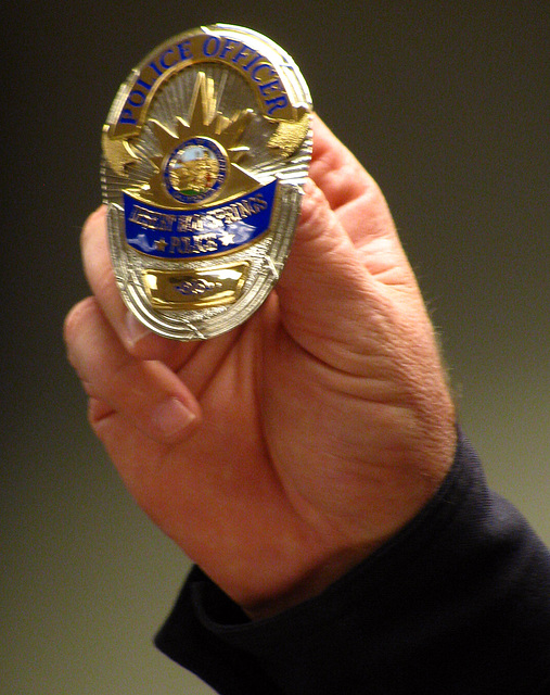 DHS Police Badge (2381)