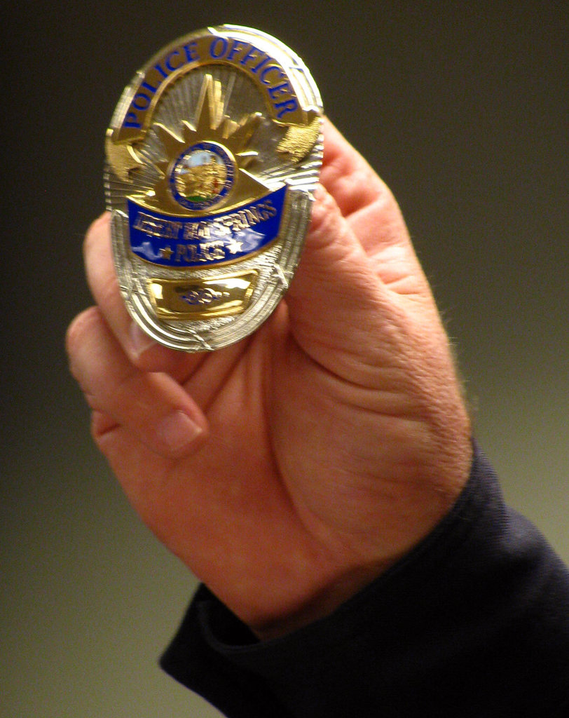 DHS Police Badge (2381)