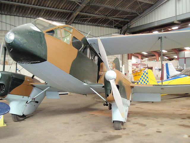 de havilland DH 89 dragon rapide P8212804