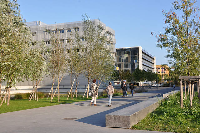 LYON LA CONFLUENCE