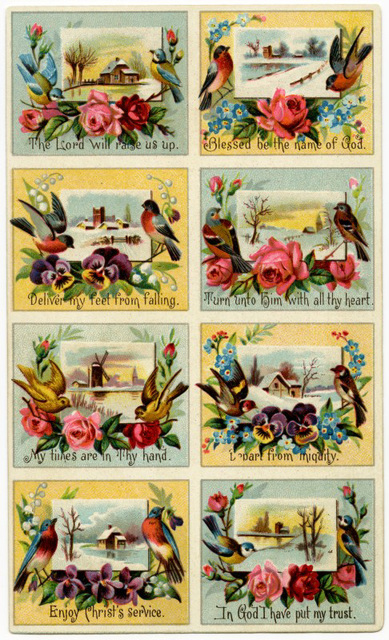 Bird-Themed Sunday School Cards