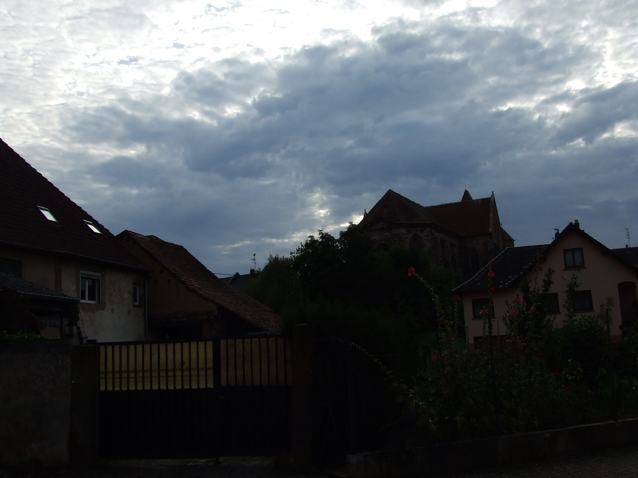 DSCF3832