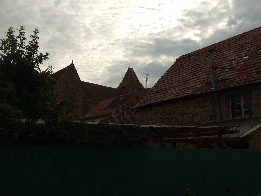 DSCF3834