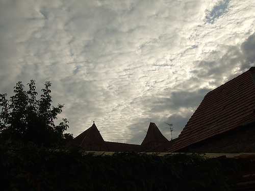 DSCF3835