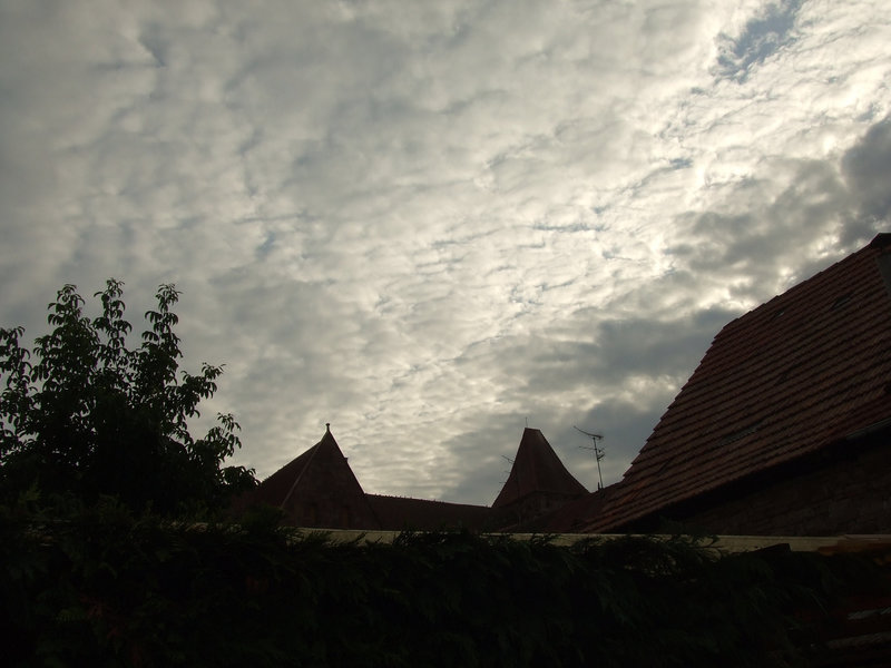 DSCF3835