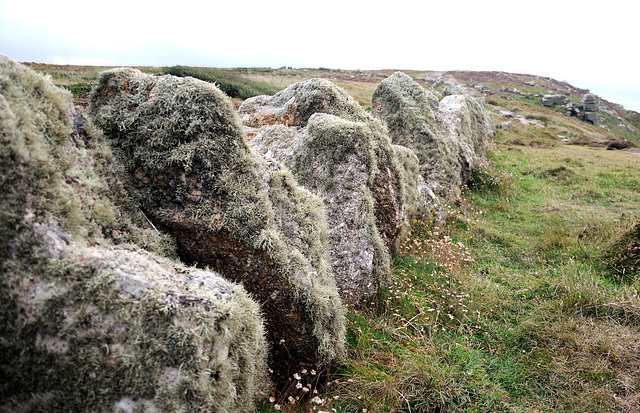 Mauer - Cornwall 110905